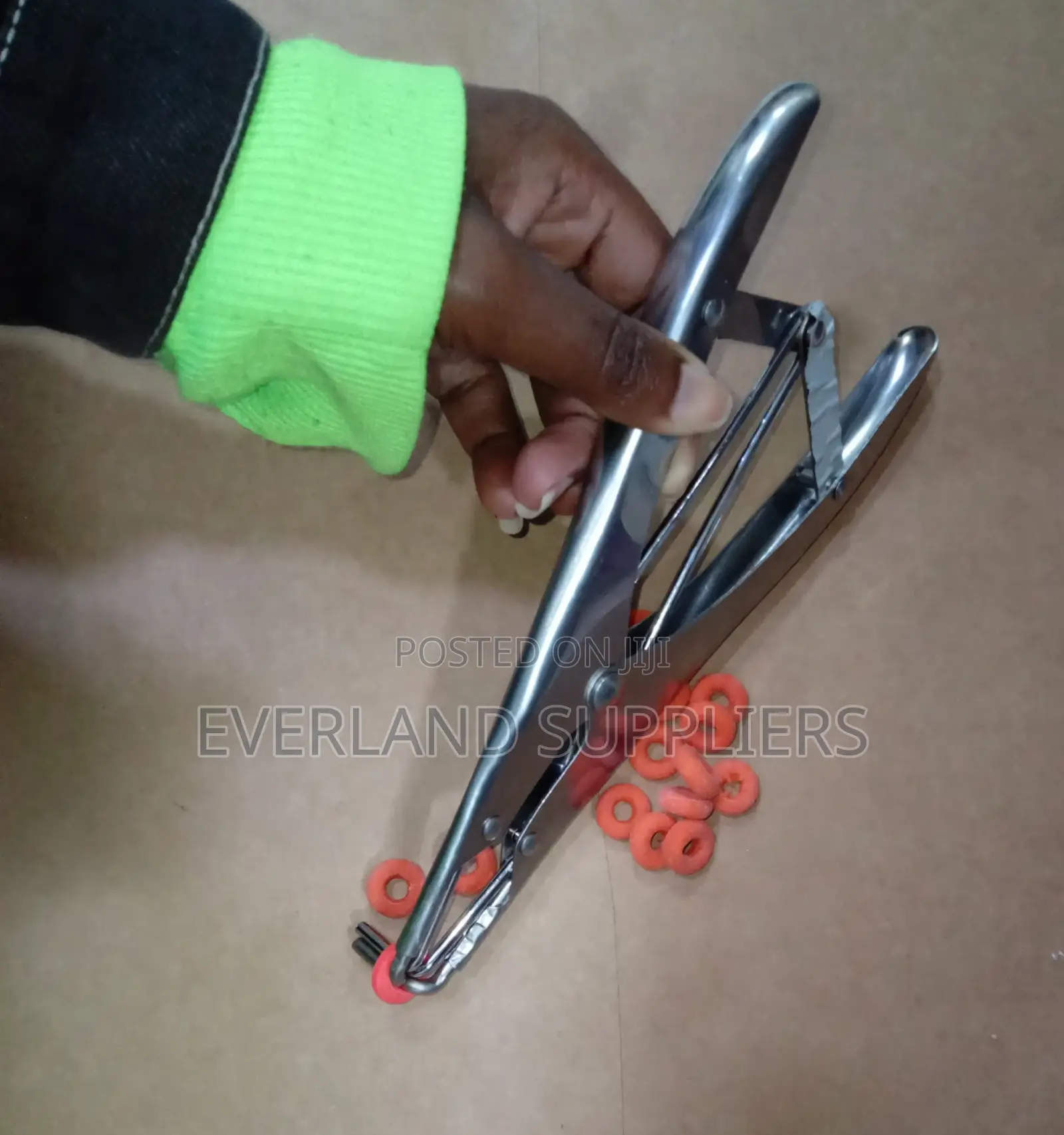 Stainless Steel Metallic Elastrator