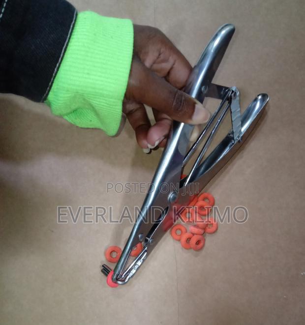 Stainless Steel Metallic Elastrator