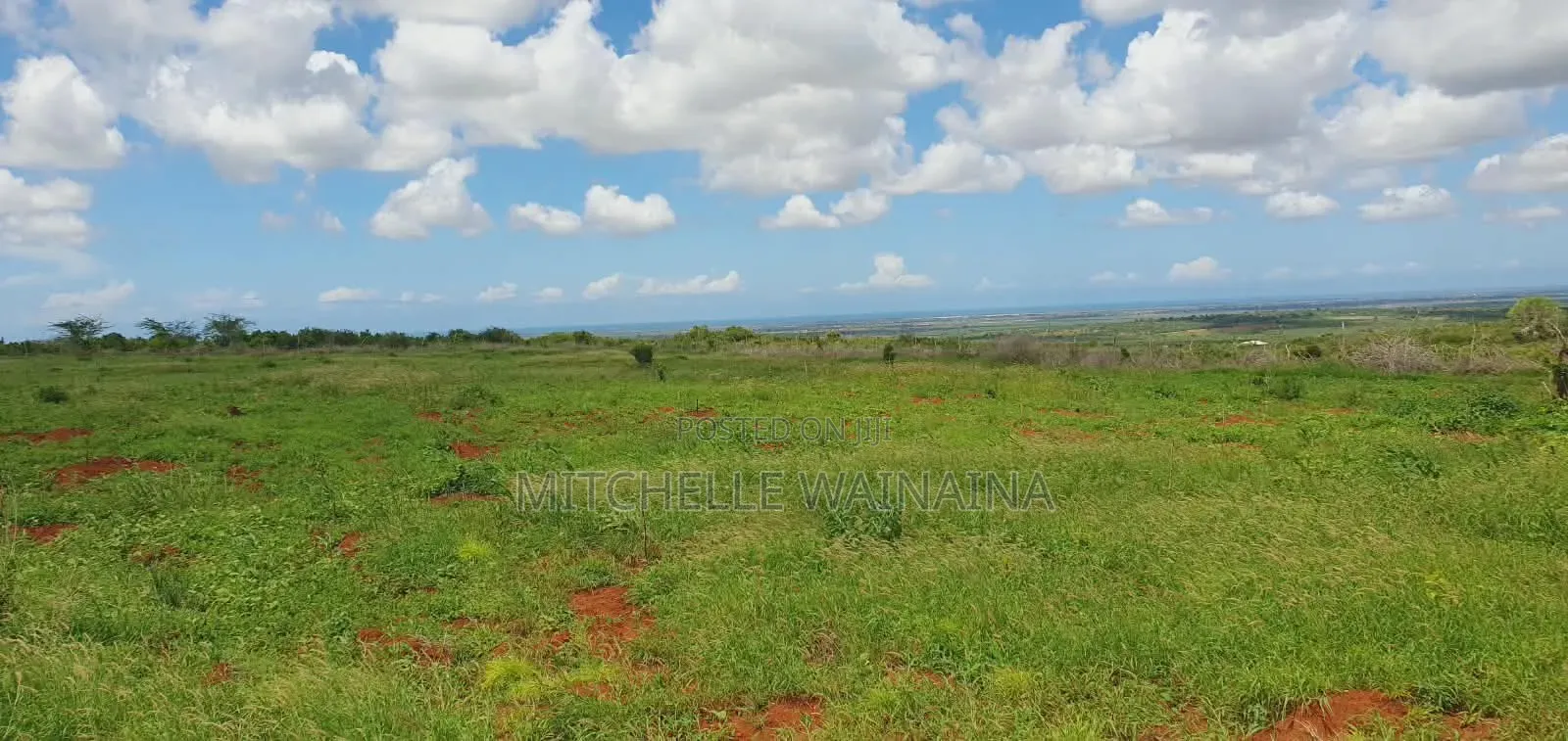 Miliki Malindi