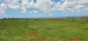 Miliki Malindi