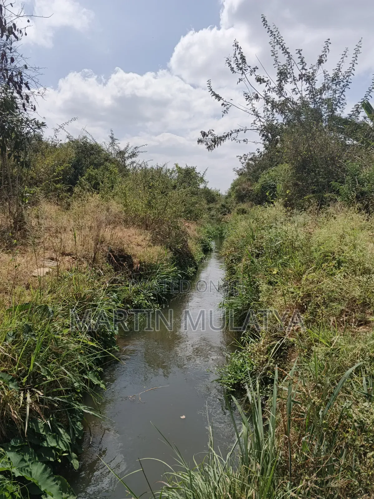 Land for Sell