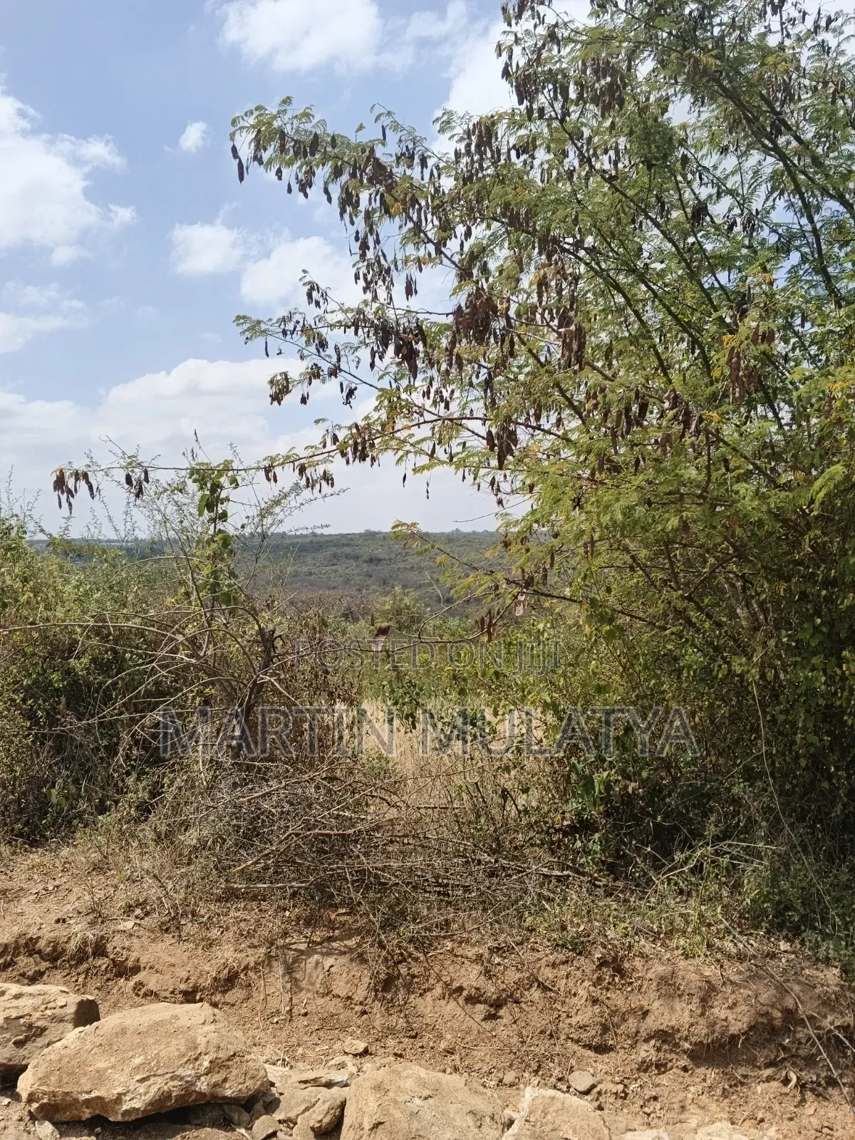 Land for Sell