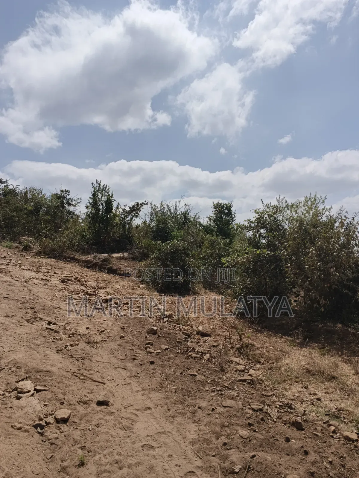 Land for Sell