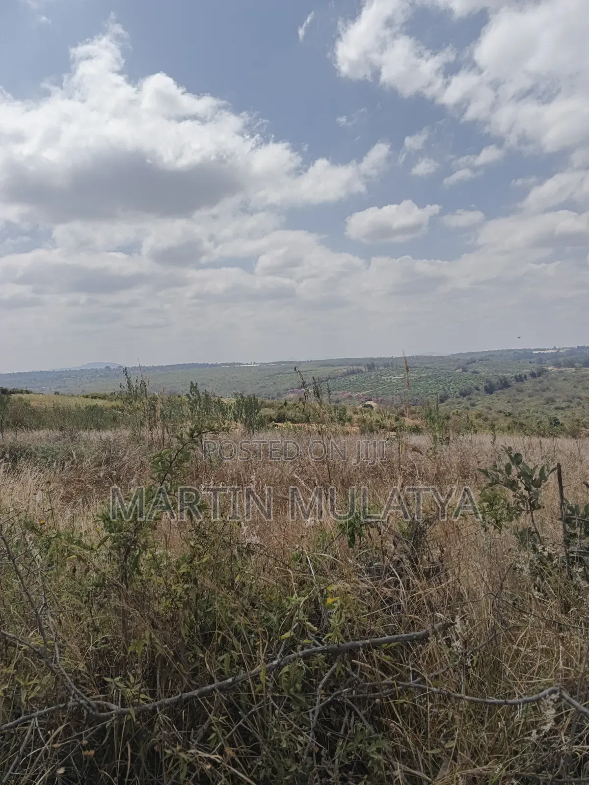 Land for Sell