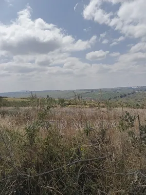 Land for Sell