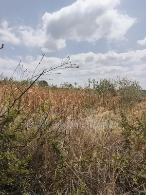 Land for Sell