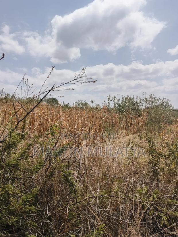 Land for Sell - thumbnail 5