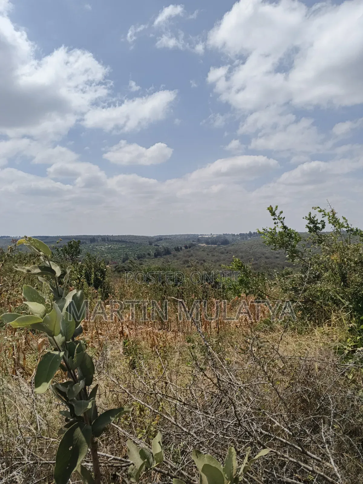 Land for Sell