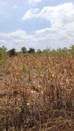 38 Acres at Kayatta