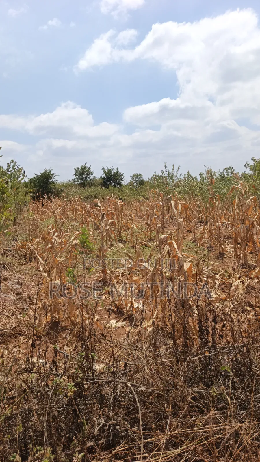38 Acres at Kayatta