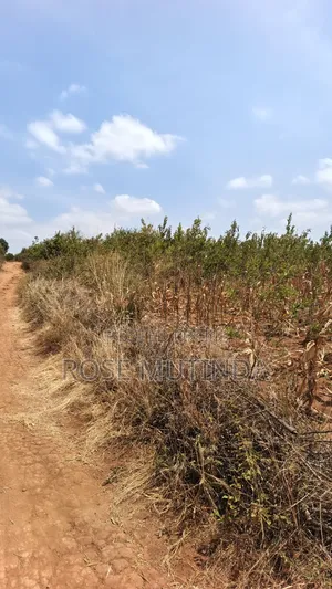 38 Acres at Kayatta