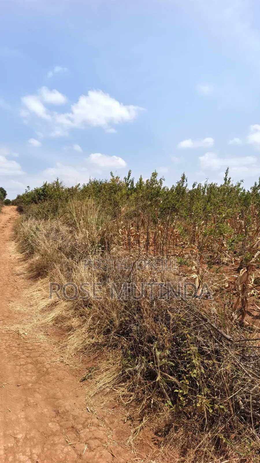 38 Acres at Kayatta