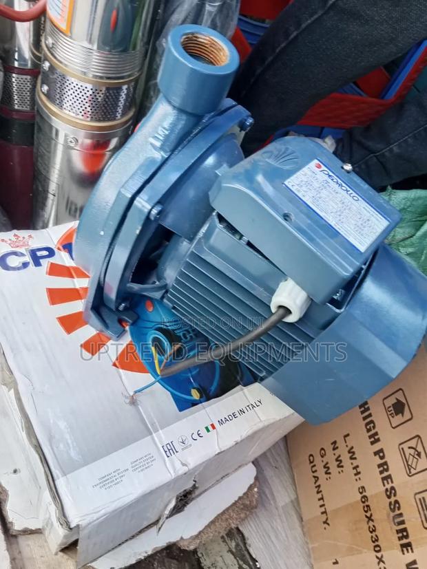 Pedrollo 1hp Surface Pump - main view
