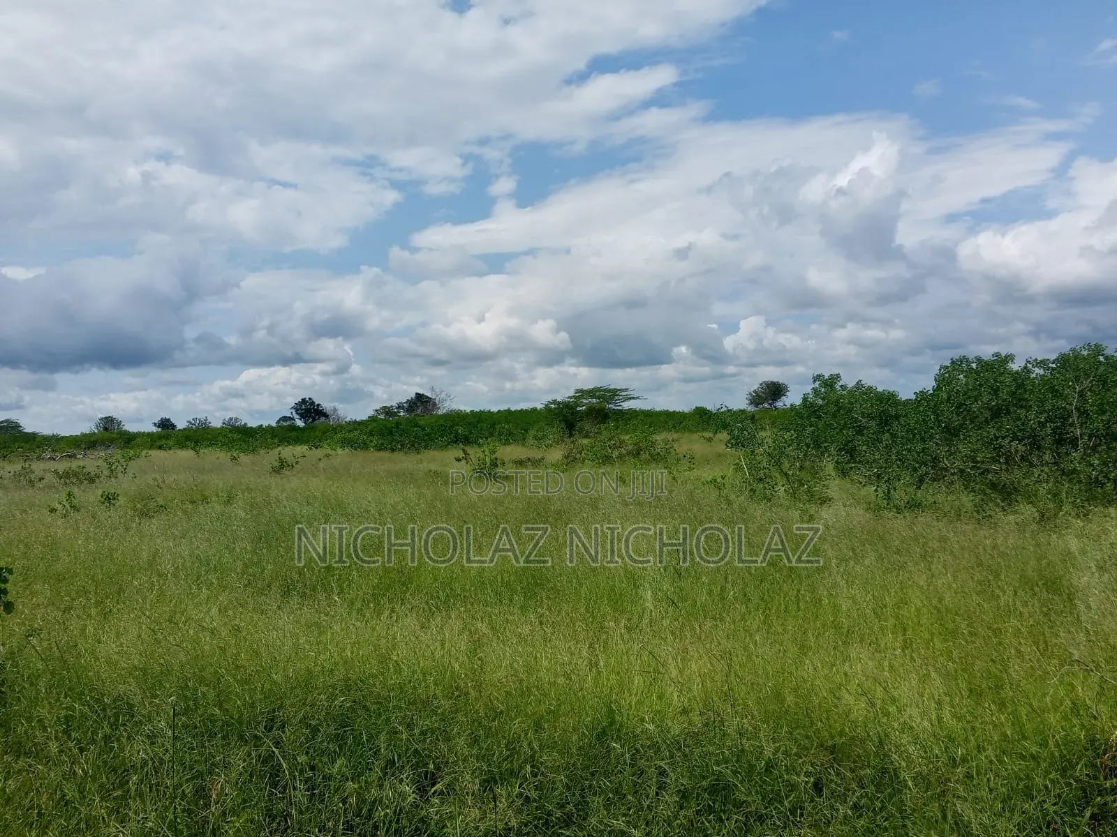 Anchor Premier Land Solutions