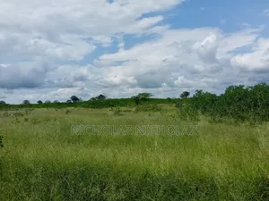 Anchor Premier Land Solutions
