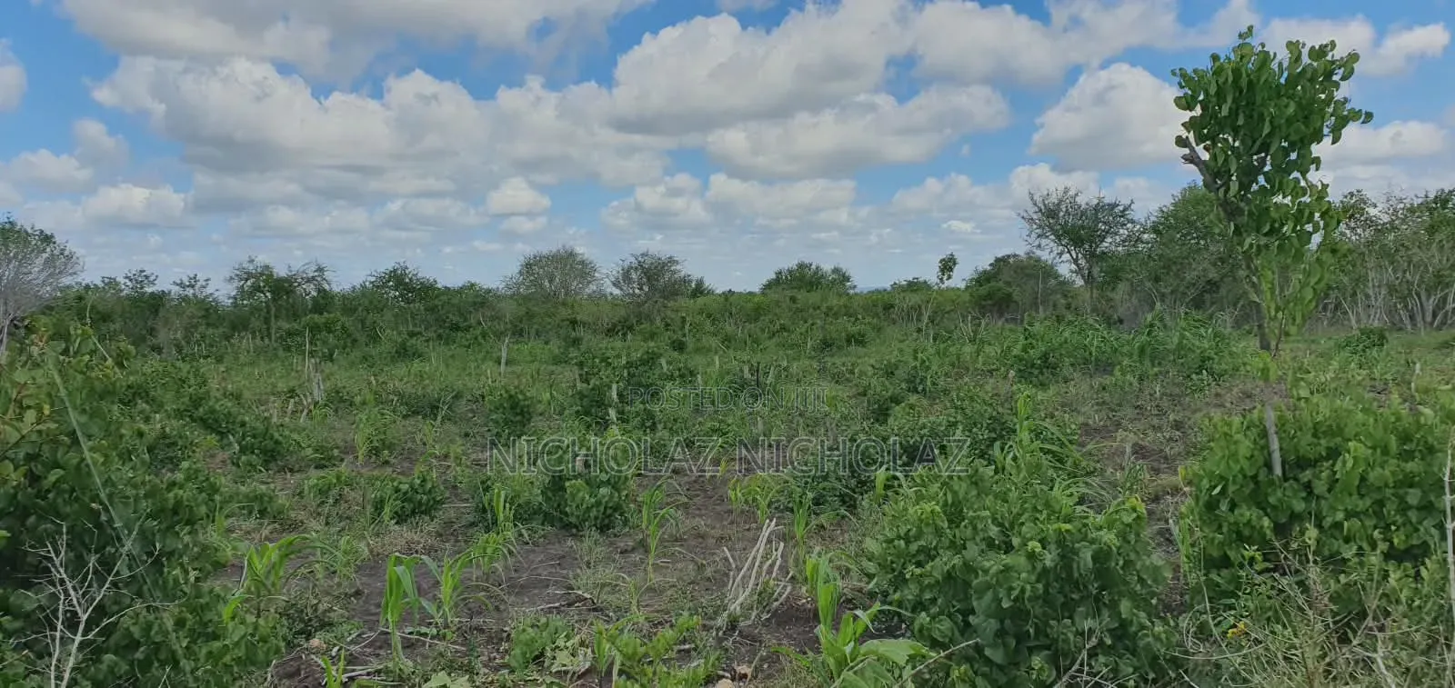 Anchor Premier Land Solutions