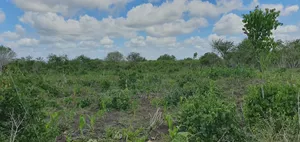 Anchor Premier Land Solutions