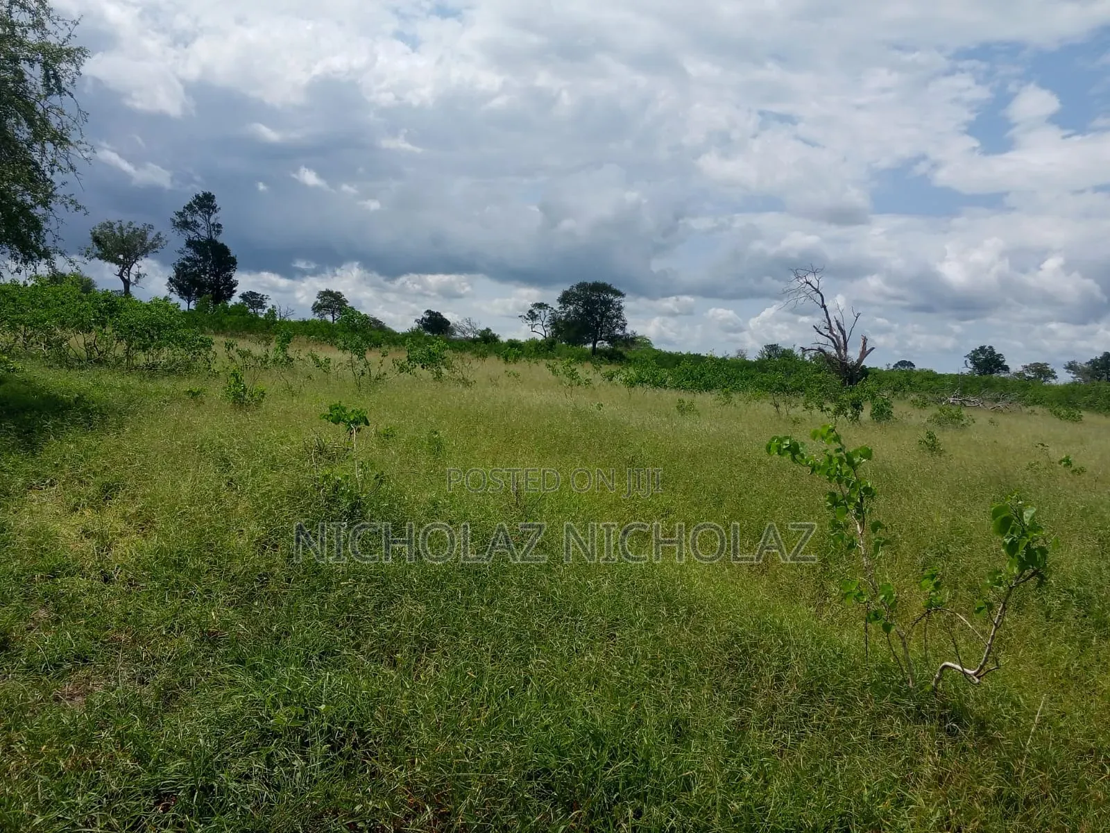 Anchor Premier Land Solutions