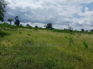 Anchor Premier Land Solutions