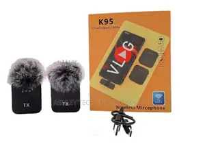  Professional Dual Wireless Microphone System