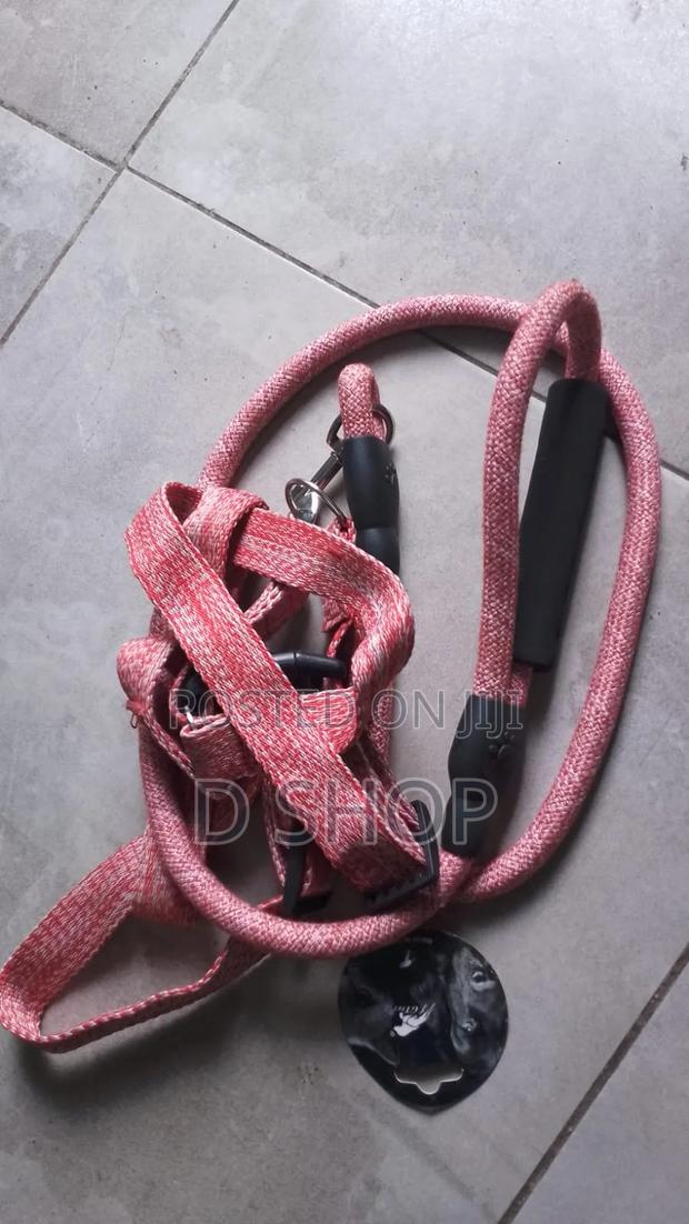 Dog Leash and Harness