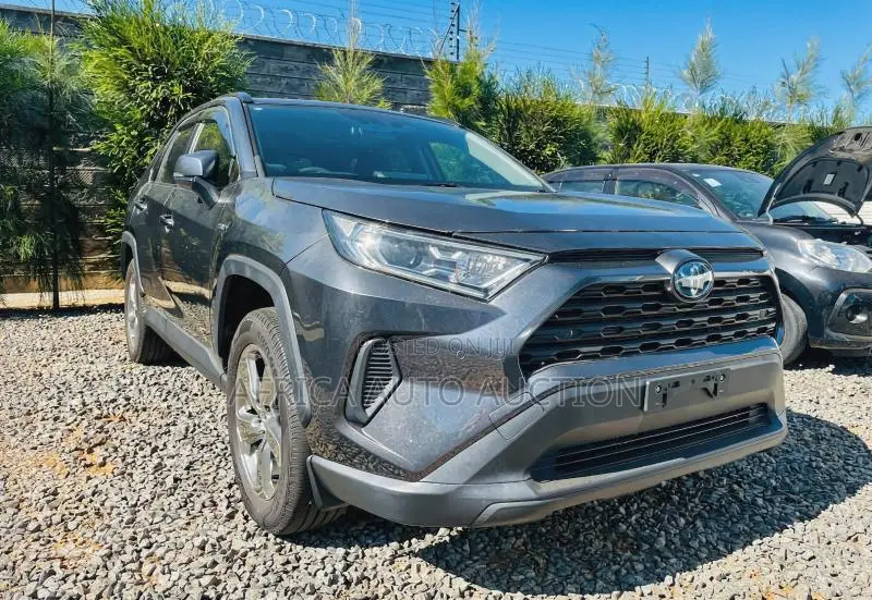 Toyota RAV4 2019 Gray