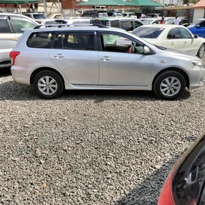 Toyota Corolla Fielder 2009 Silver