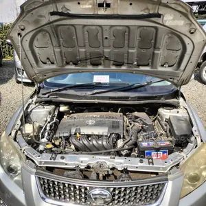 Toyota Corolla Fielder 2009 Silver