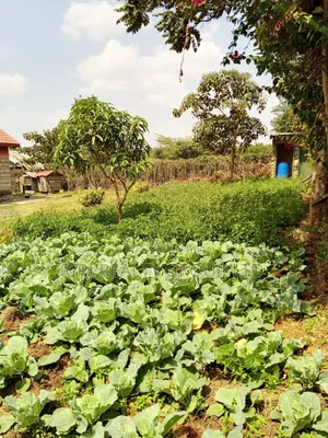 3bdrm Bungalow in Utawala, Nairobi Central for sale