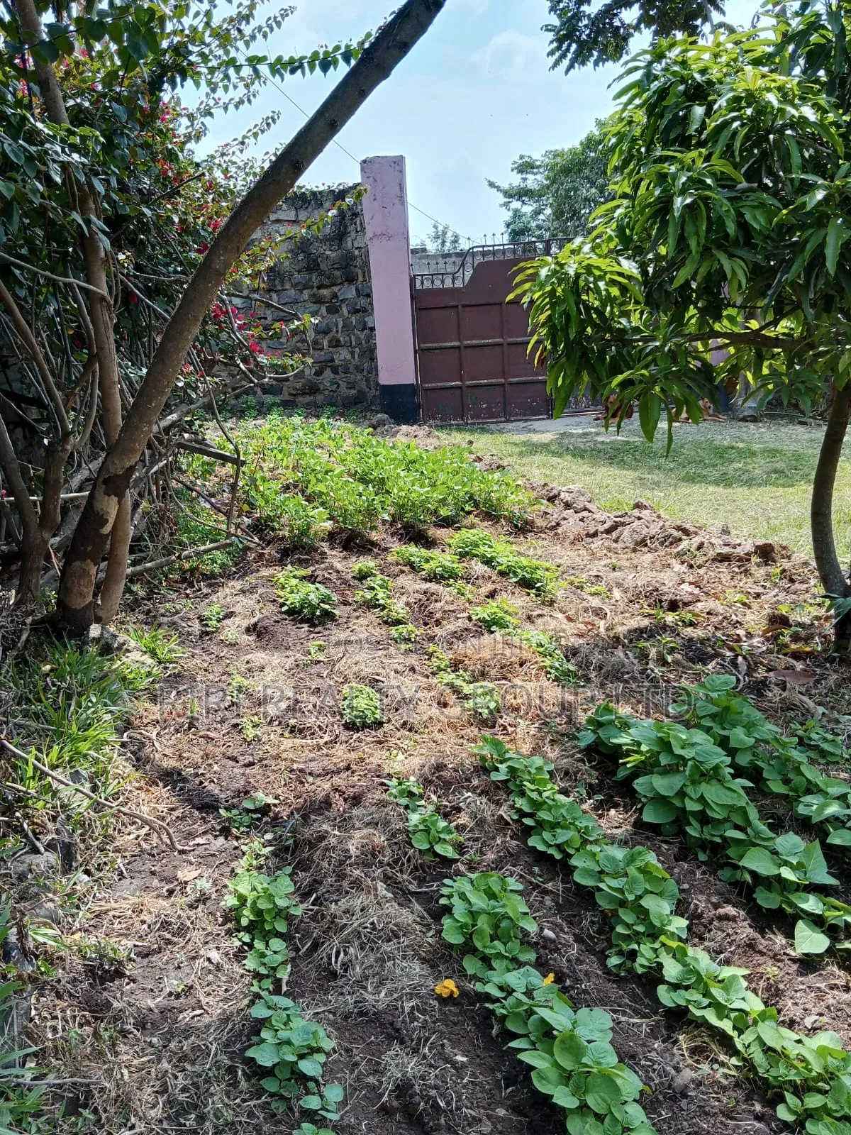3bdrm Bungalow in Utawala, Nairobi Central for sale