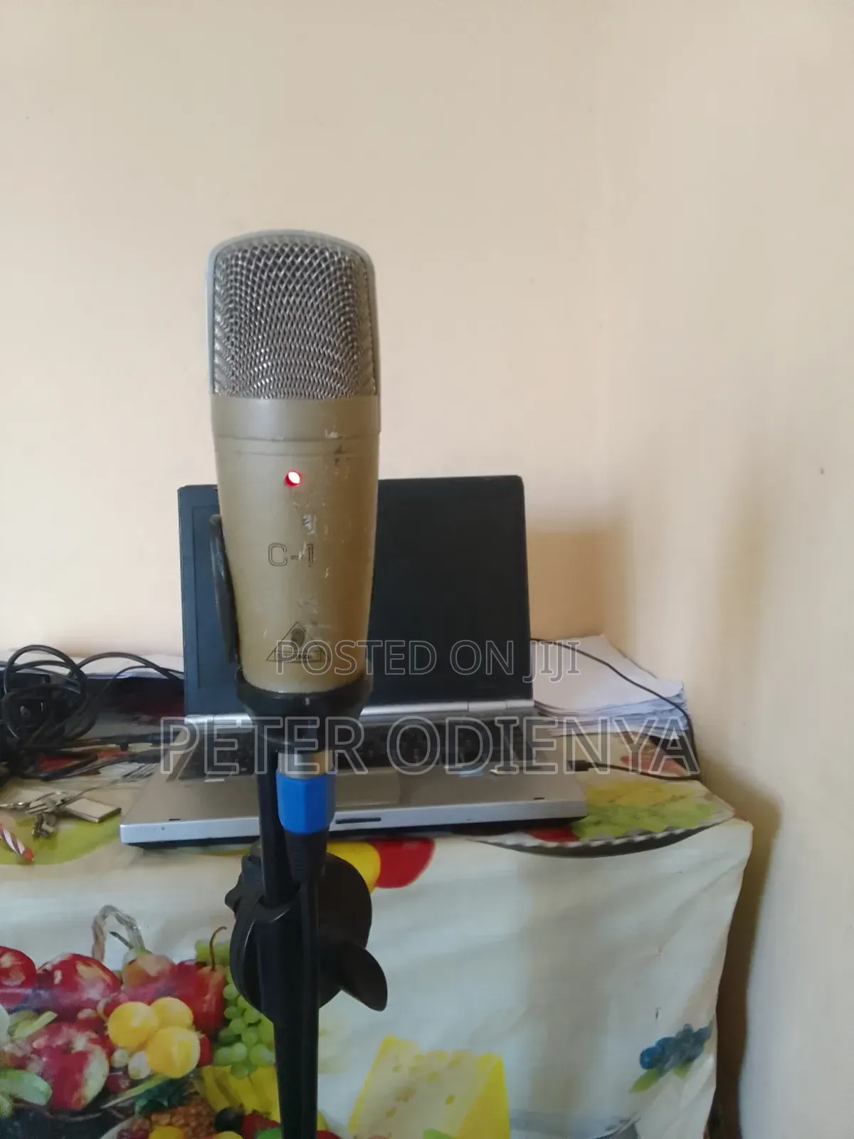 Condensor C1 Microphone