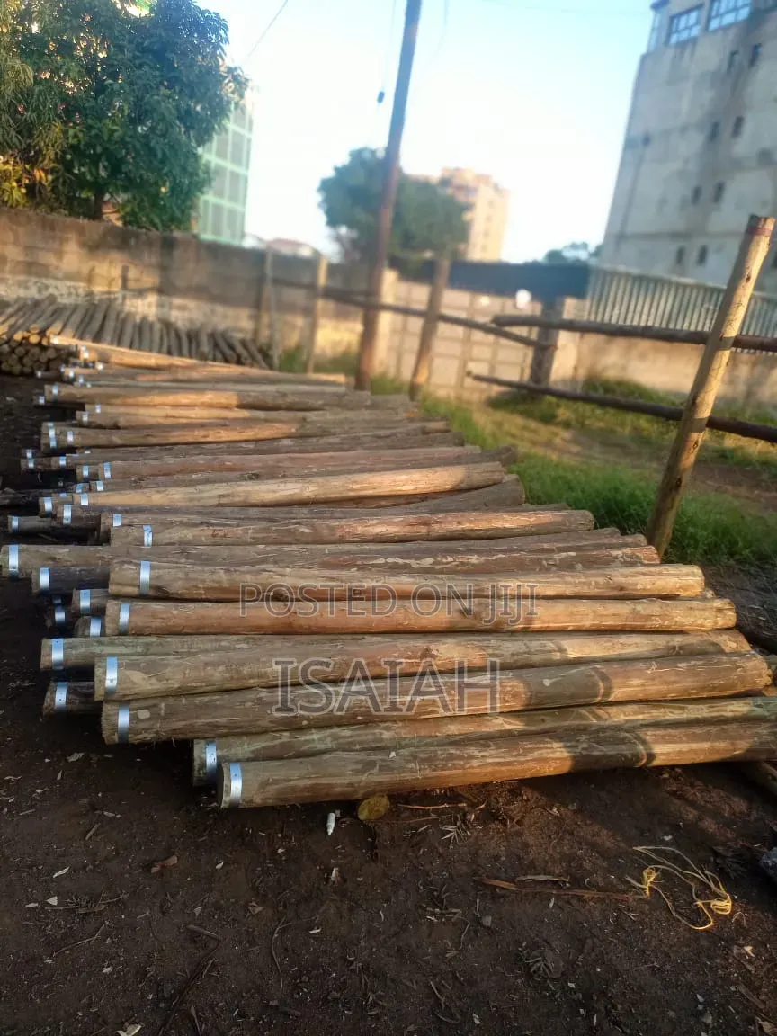 Timber and Poles