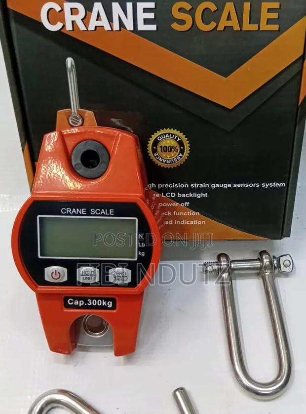 New Hanging 300KG Crane Scale/300kg Scale