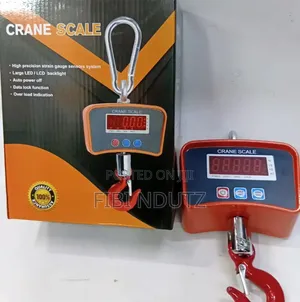Quality 500kg Heavy Duty Hanging Scale/500kg Strong Hanging Scale