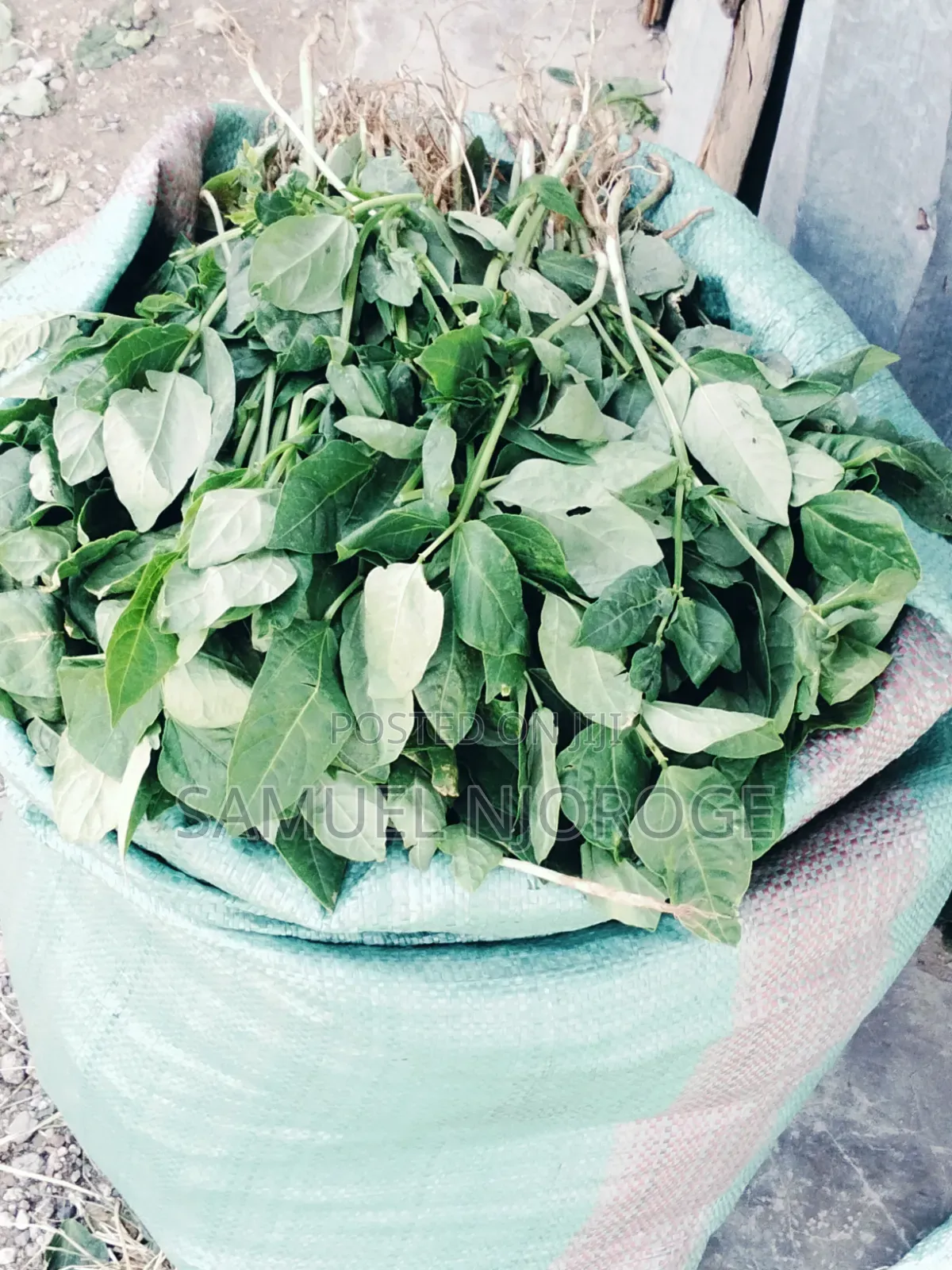 Fresh Vegetables for Sale