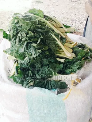 Fresh Vegetables for Sale