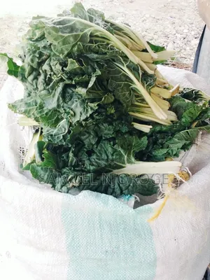 Fresh Vegetables for Sale