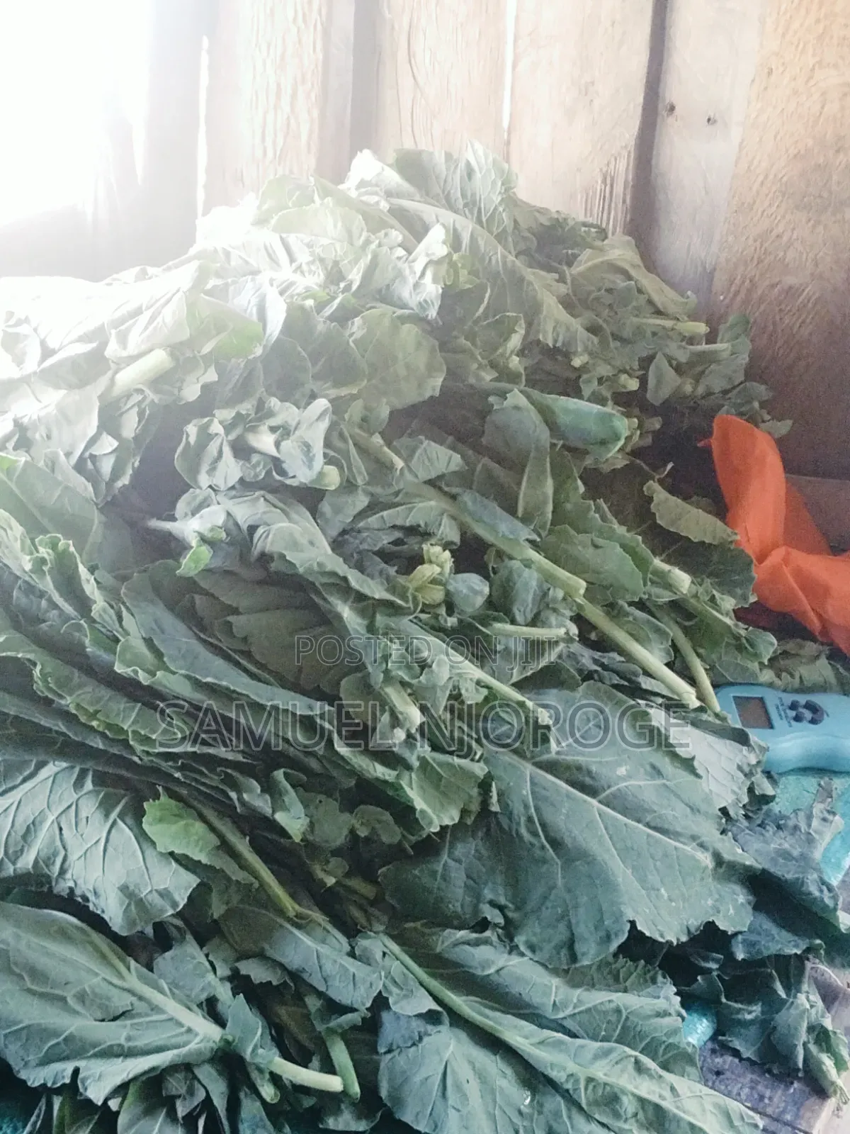 Fresh Vegetables for Sale