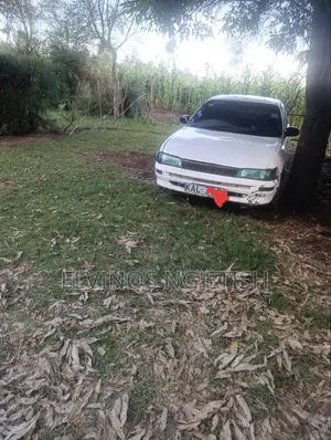 Toyota Corolla 1998 White