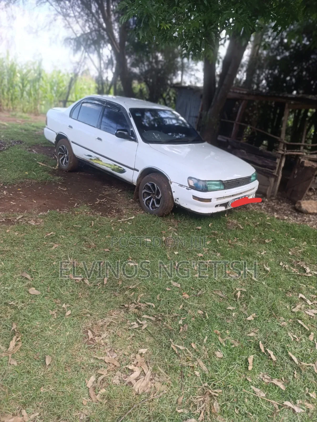 Toyota Corolla 1998 White