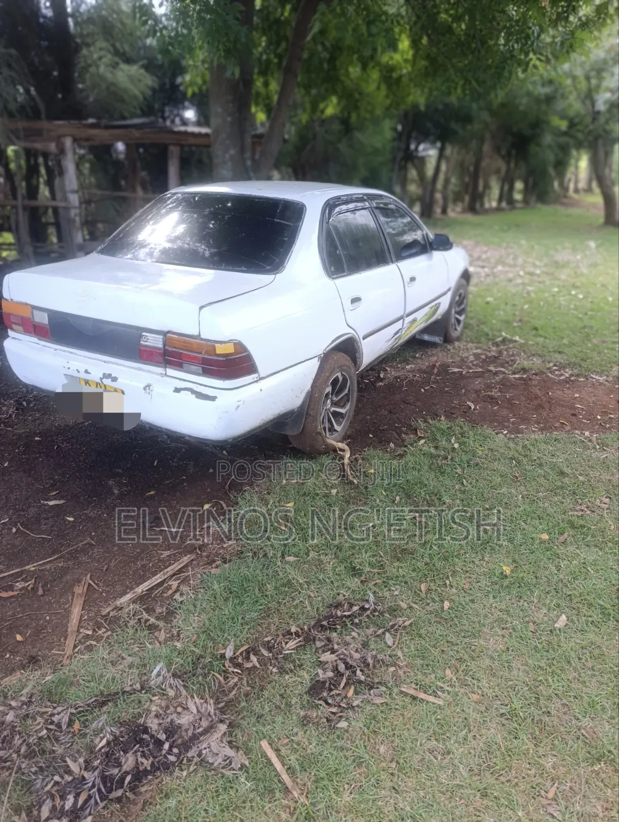 Toyota Corolla 1998 White