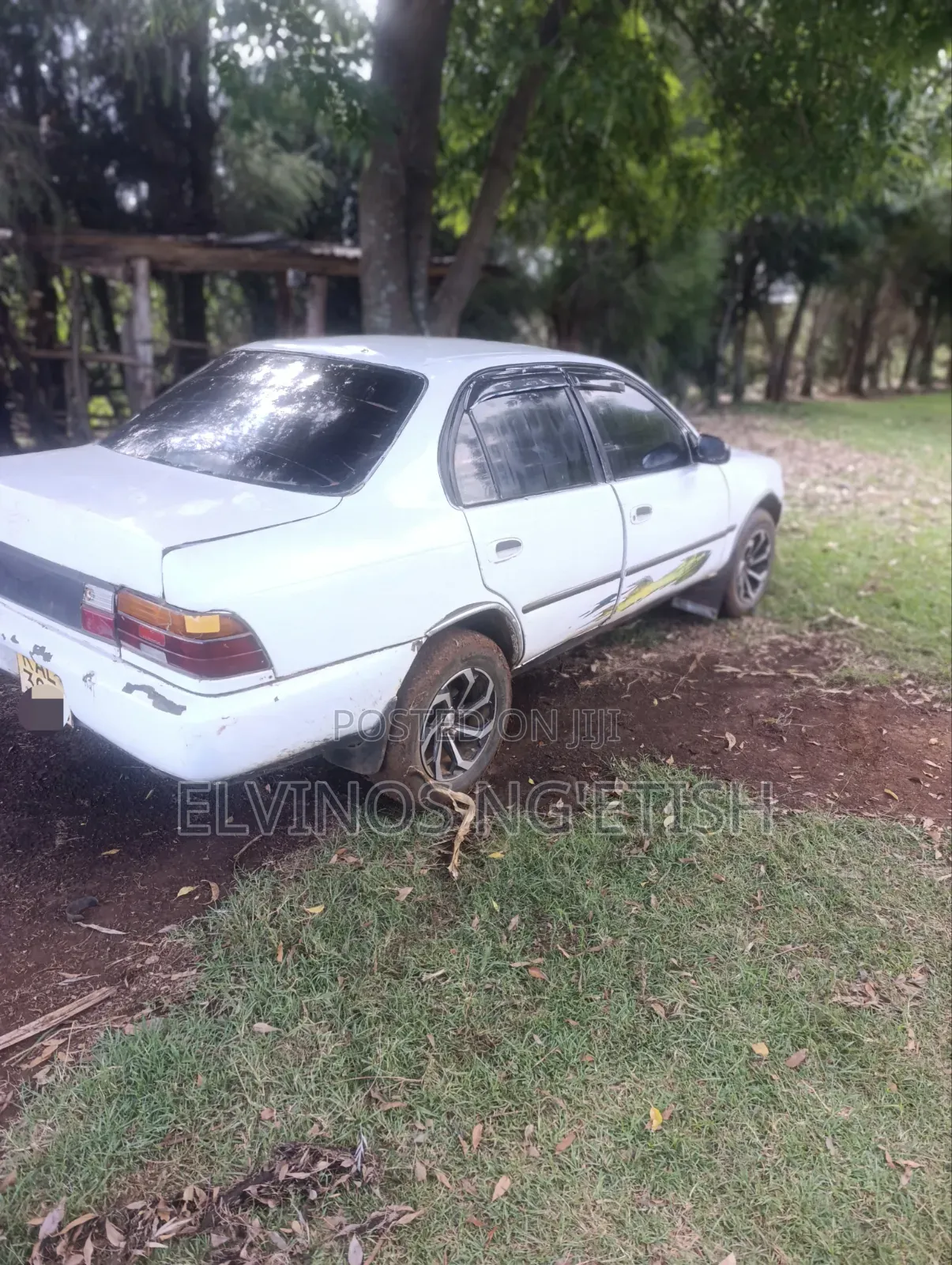 Toyota Corolla 1998 White