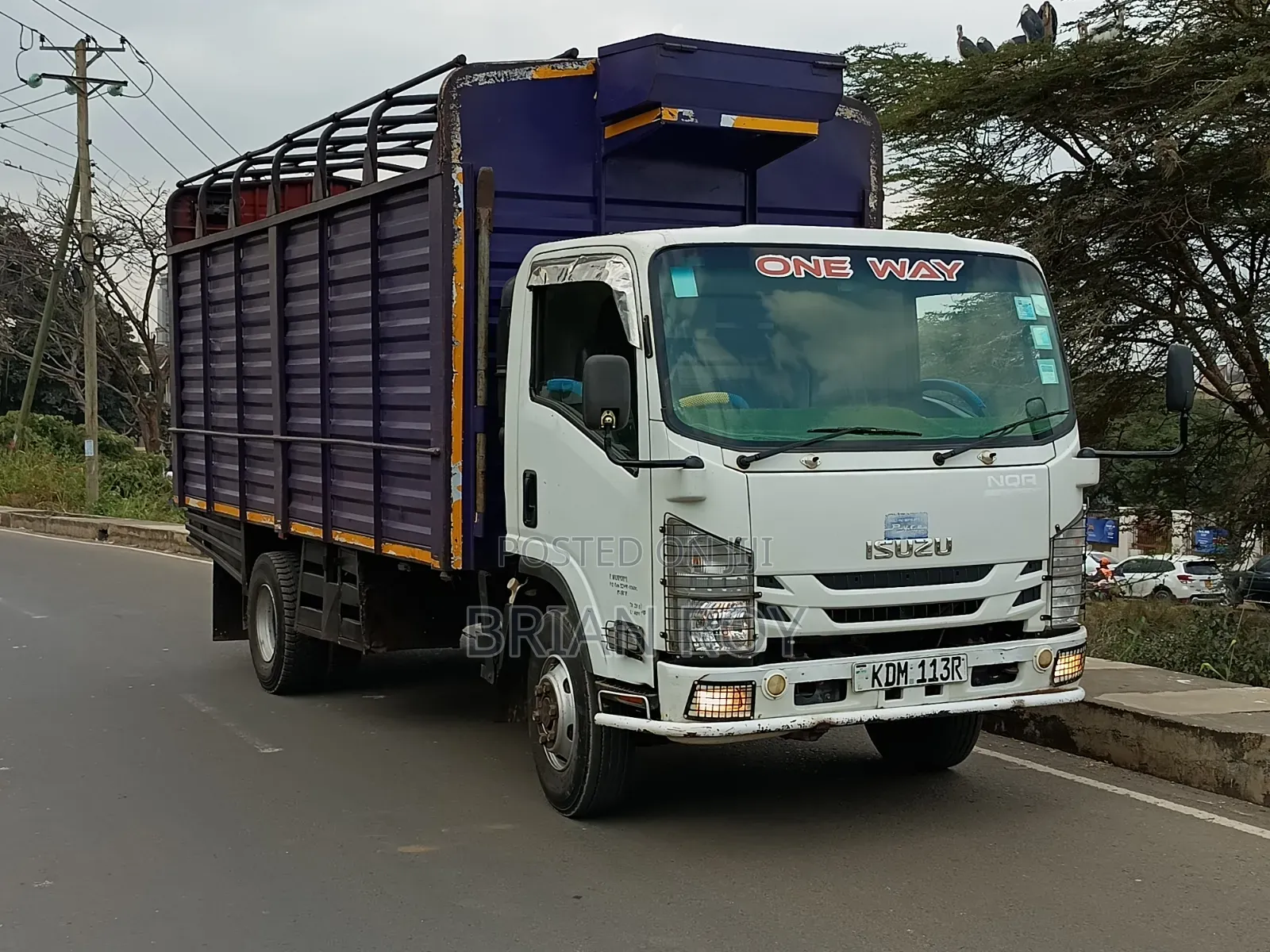 Isuzu NQR 2024 White