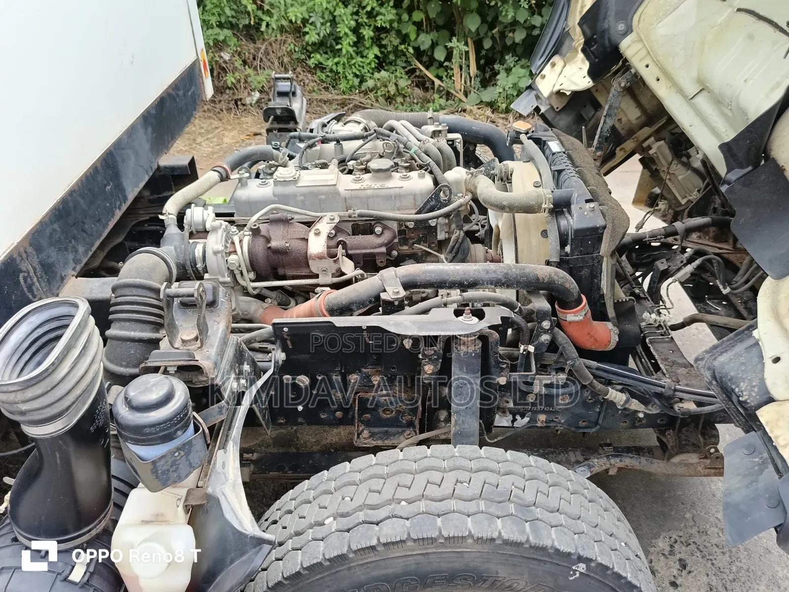 Isuzu NLR for Sale