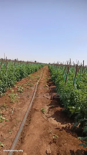 10acres for Sale Imbrrikani Loitoktok Area