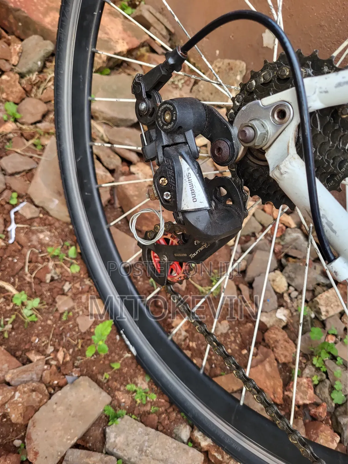 Hybrid Bicycle