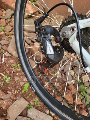 Hybrid Bicycle