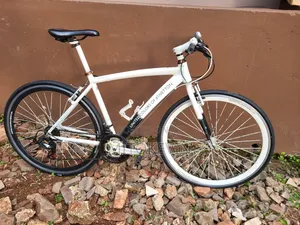 Hybrid Bicycle