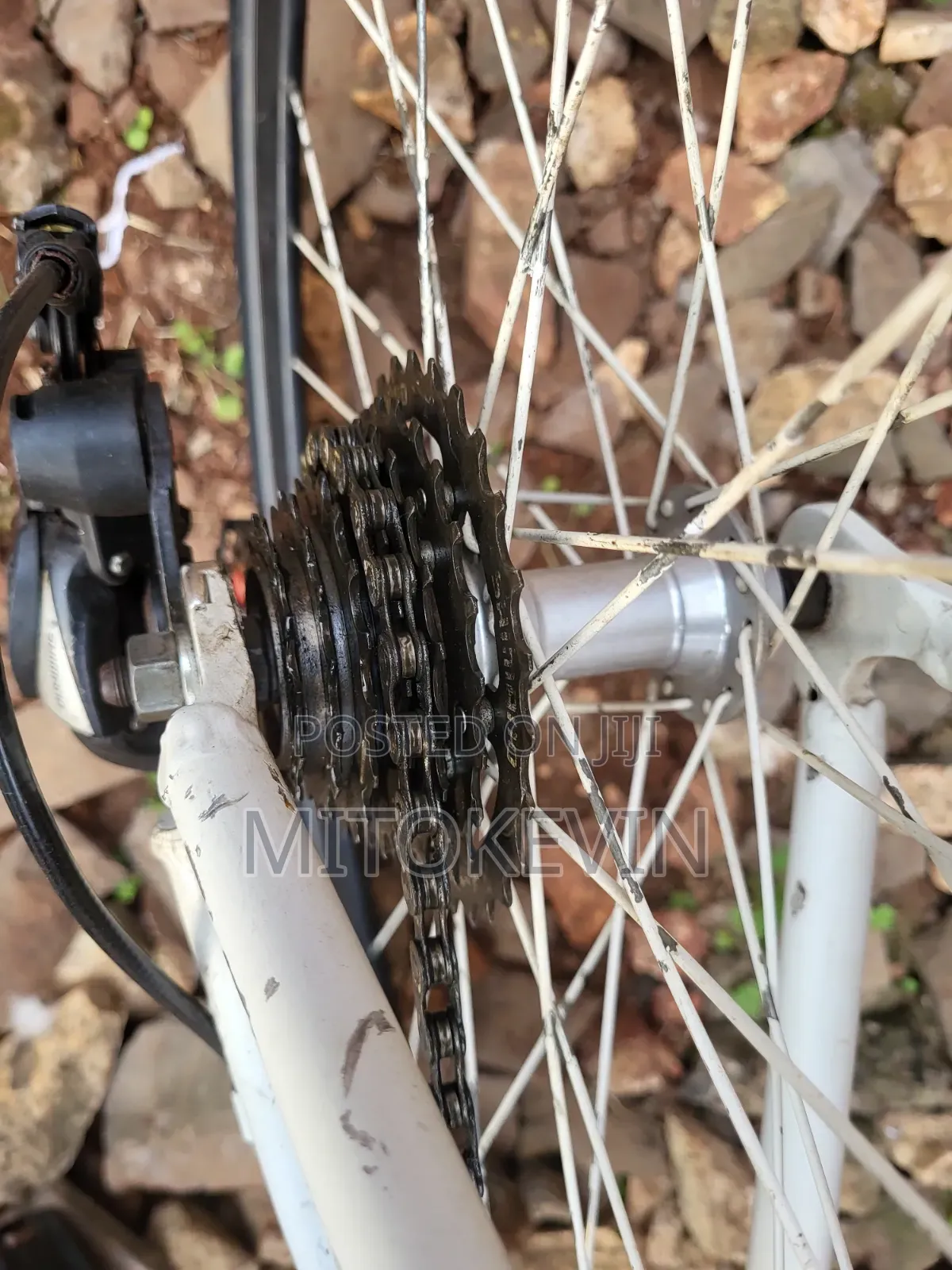 Hybrid Bicycle