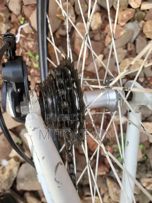 Hybrid Bicycle